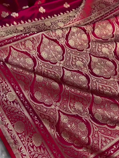 Mushroo Banarashi saree -Red -Design 09